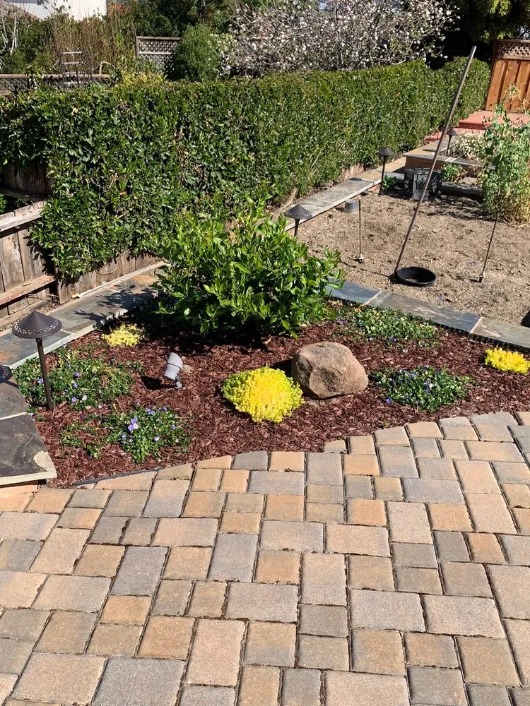 Affordable residential landscaping in San Carlos, CA - Superior Landscaping Service