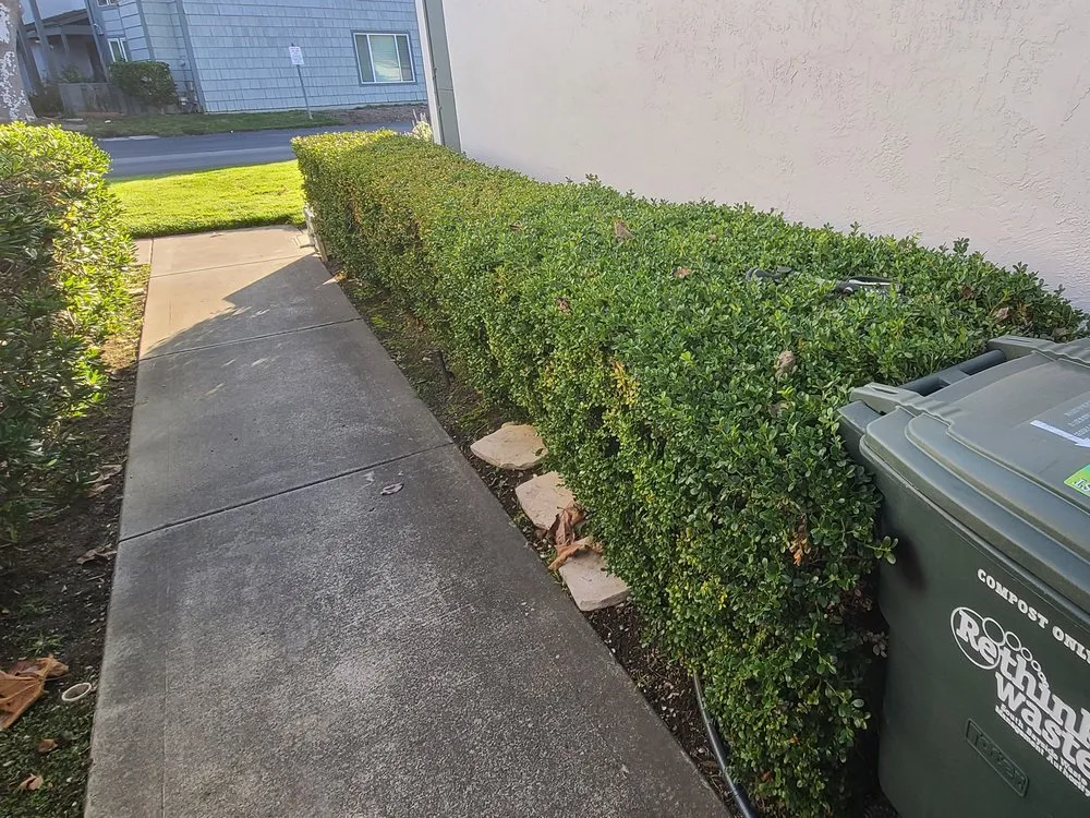 Reliable landscape installation in San Carlos, CA by Superior Landscaping Service