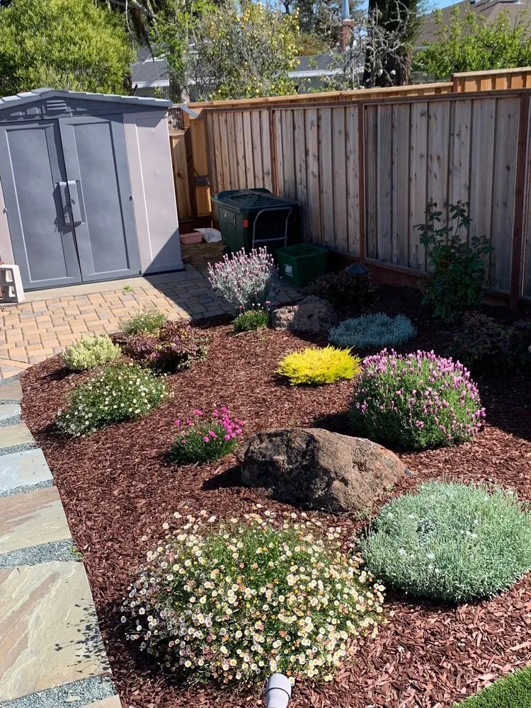 Reliable lawn care service in San Carlos, CA - Superior Landscaping Service