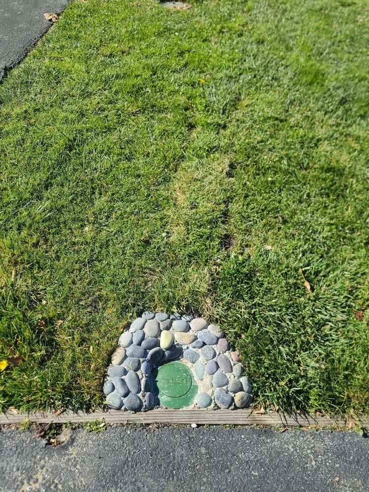 Expert landscaping services in San Carlos, CA - Superior Landscaping Service