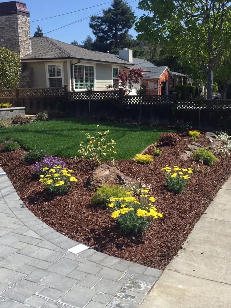 Custom landscaping services in San Carlos, CA - Superior Landscaping Service