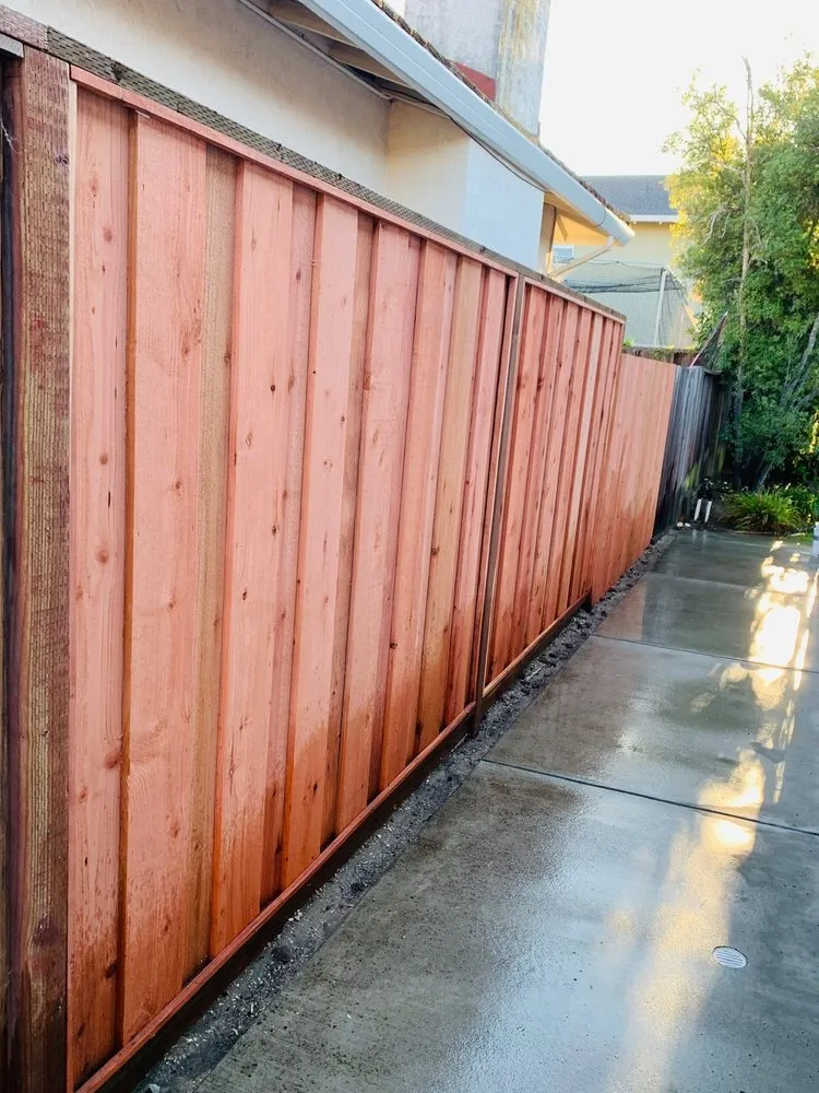 Professional lawn care service in San Carlos, CA - Superior Landscaping Service