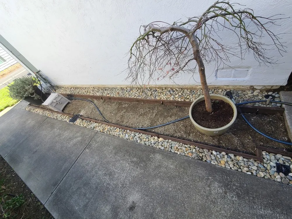 Affordable lawn care service for residential properties in San Carlos, CA by Superior Landscaping Service