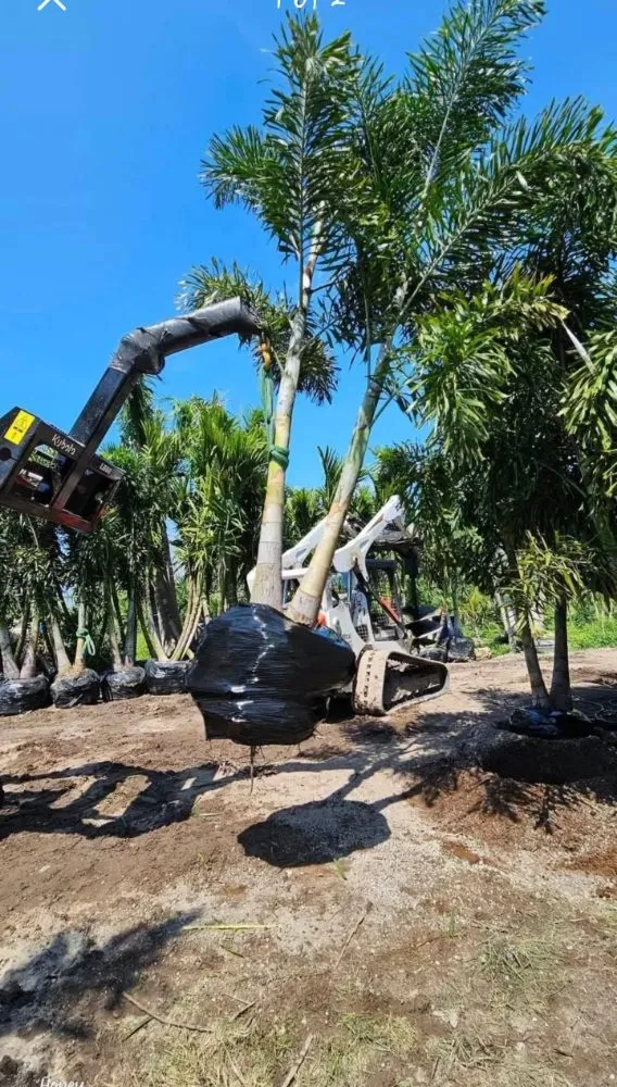 Professional outdoor landscaping for homes across Naples, FL - Superior Landscaping Services