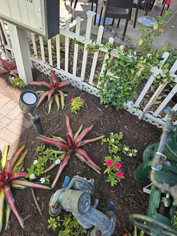 Affordable outdoor landscaping with custom design in Naples, FL by Superior Landscaping Services