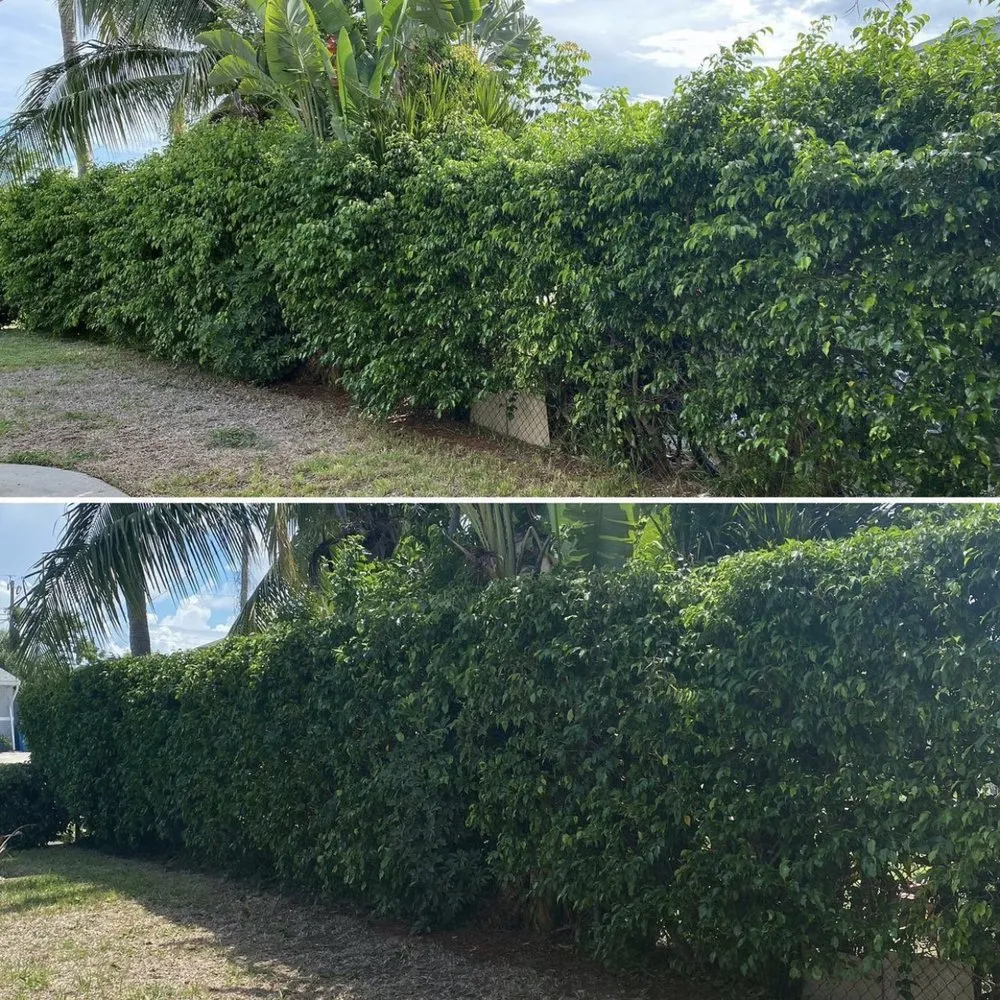 Custom landscape design in Oakland Park, FL - Superior Landscaping Services