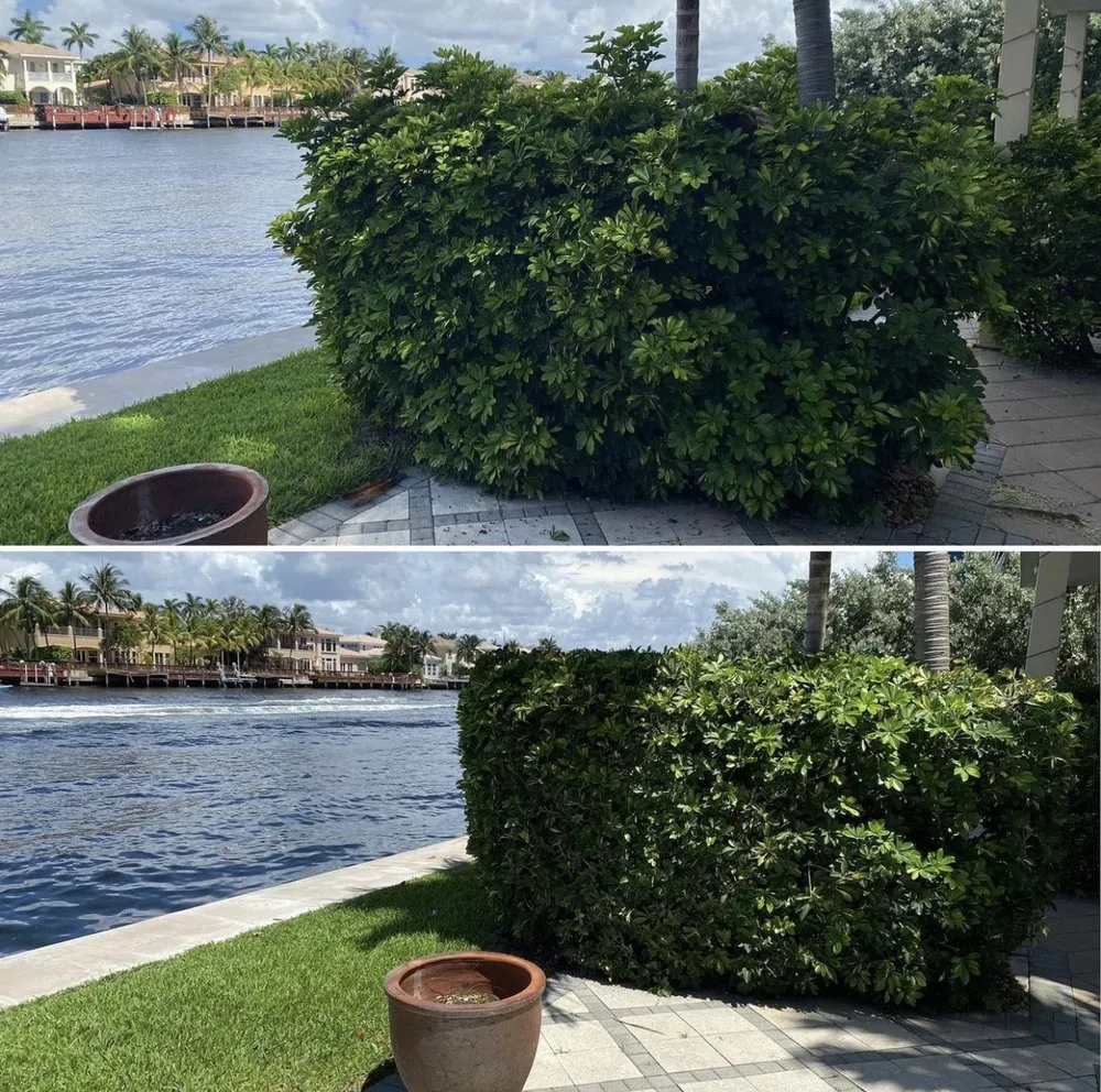 Custom lawn mowing service experts serving Oakland Park, FL - Superior Landscaping Services