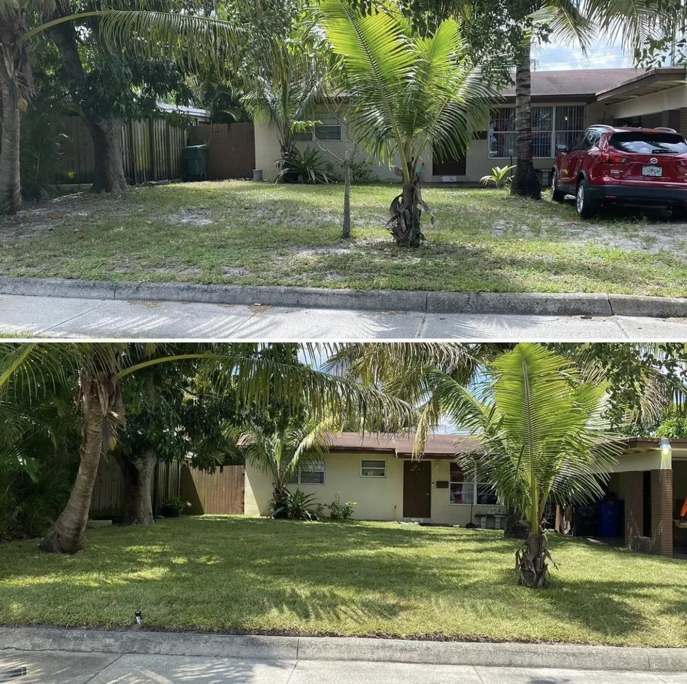 Top-rated outdoor landscaping experts serving Oakland Park, FL - Superior Landscaping Services