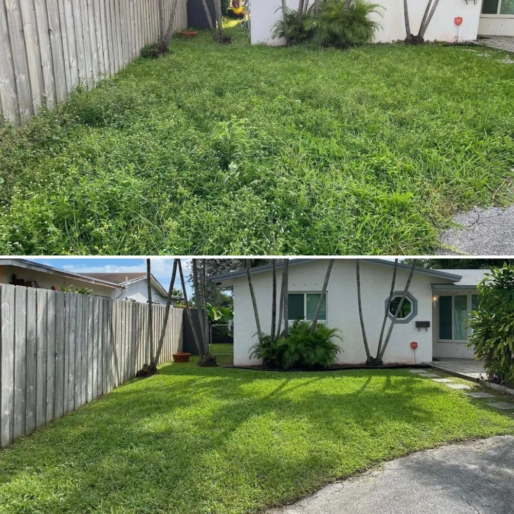 Custom garden landscaping in Oakland Park, FL by Superior Landscaping Services