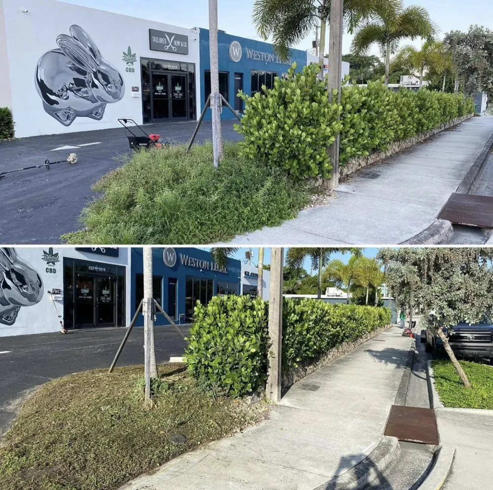 Top-rated landscape design experts serving Oakland Park, FL - Superior Landscaping Services