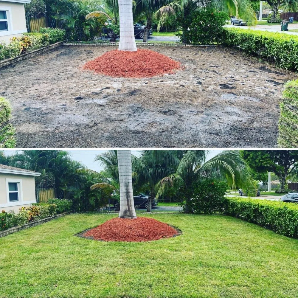 Local garden landscaping for homes in Oakland Park, FL by Superior Landscaping Services