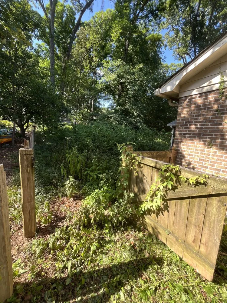 Affordable lawn mowing service experts serving Greer, SC - Superior Landscaping Solutions