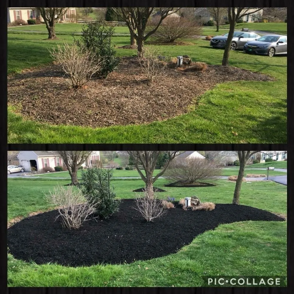 Trusted residential landscaping in Avondale, PA - Superior Lawn & Landscape