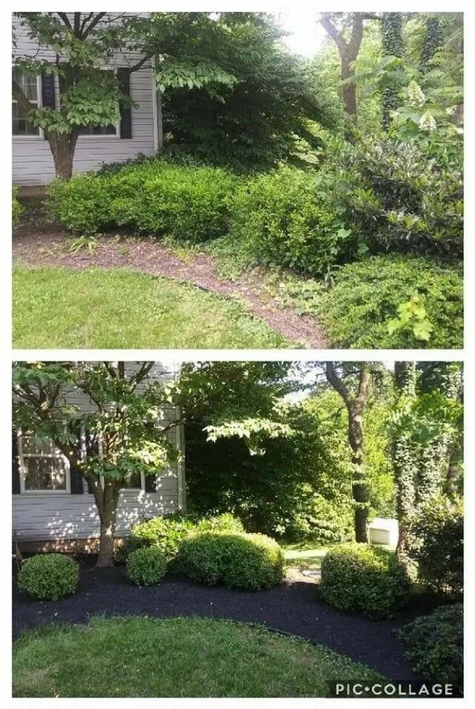 Reliable landscape installation in Avondale, PA by Superior Lawn & Landscape