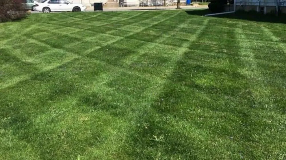 Top-rated yard cleanup service for year-round maintenance across Avondale, PA - Superior Lawn & Landscape