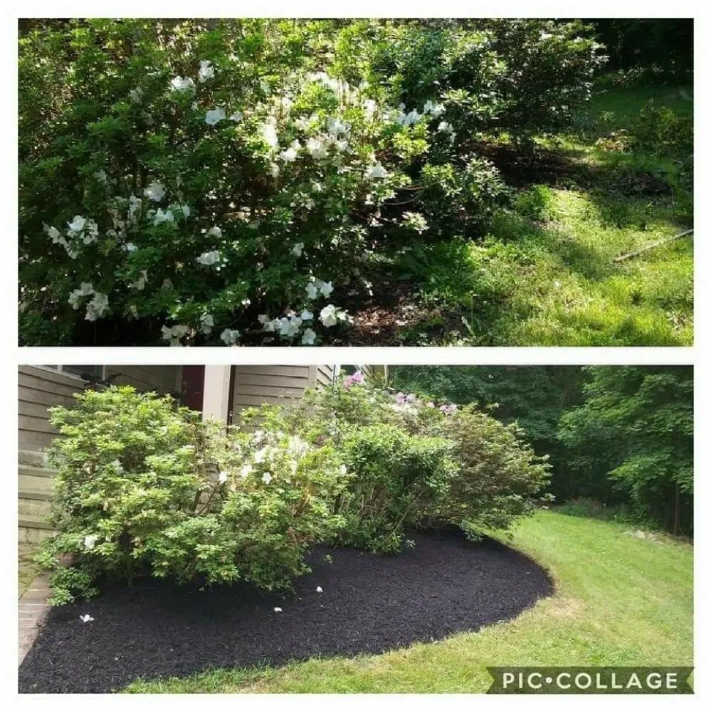 Top-rated lawn mowing service in Avondale, PA - Superior Lawn & Landscape