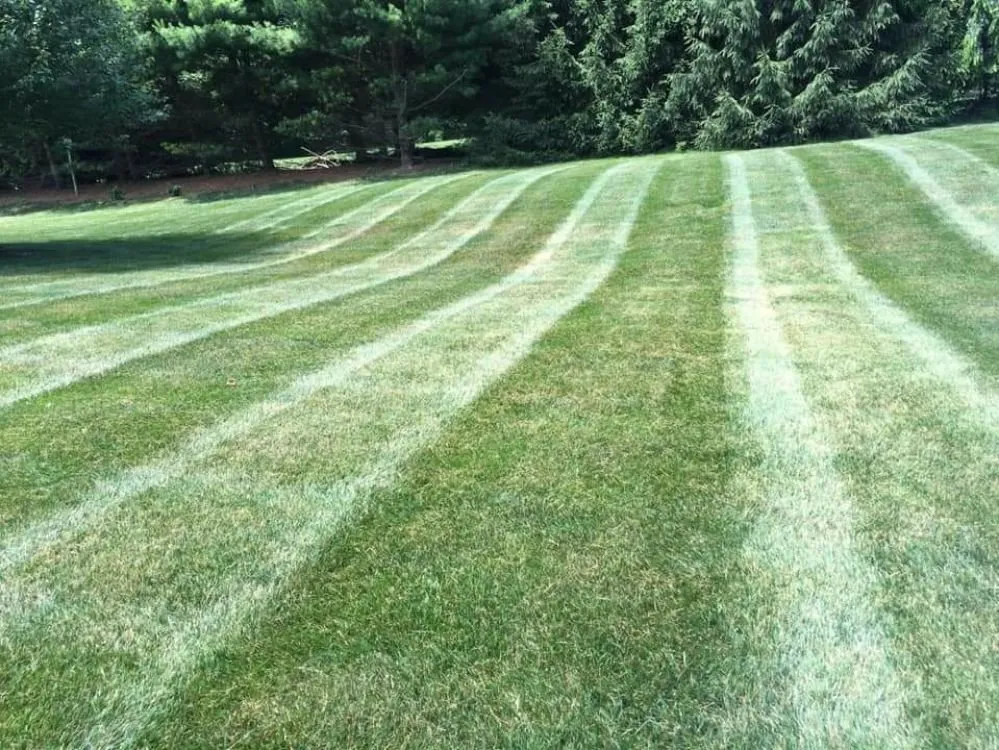 Local residential landscaping experts serving Avondale, PA - Superior Lawn & Landscape