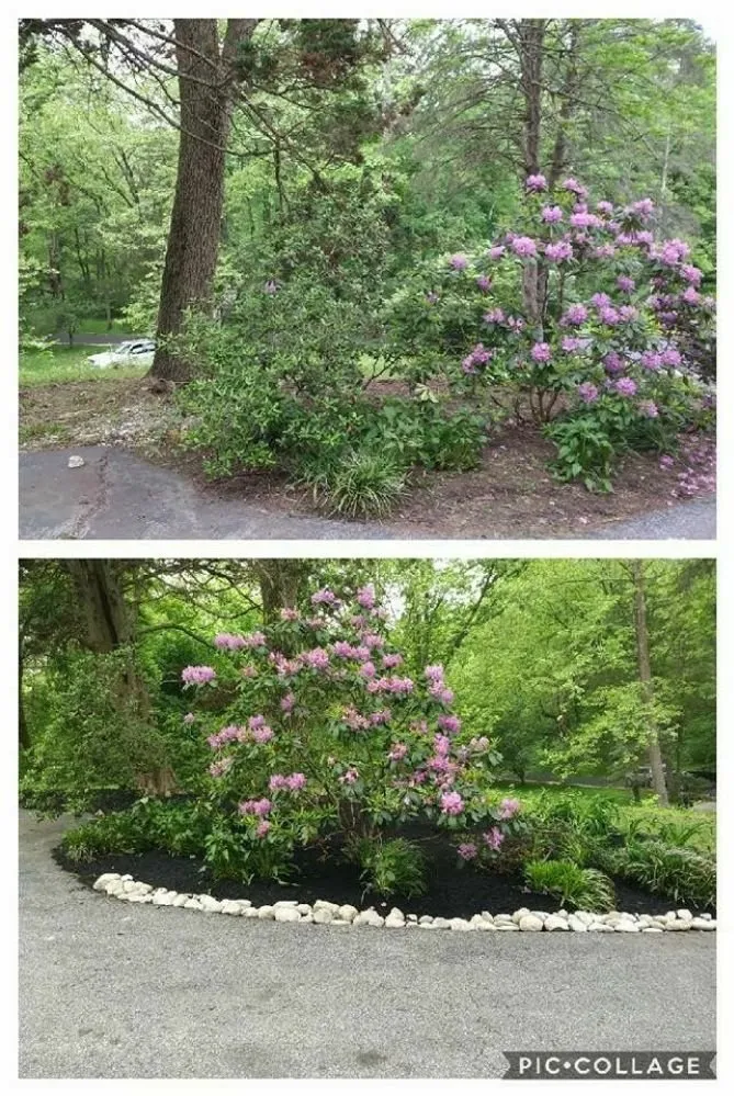 Custom lawn care service in Avondale, PA by Superior Lawn & Landscape