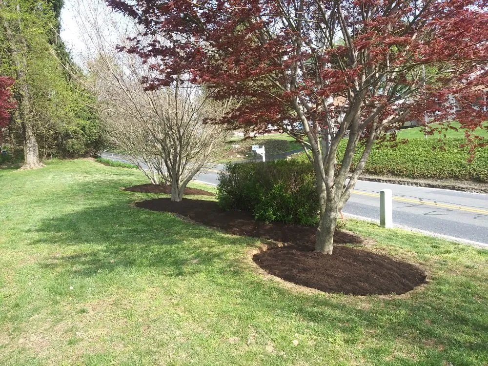 Local landscaping services in Avondale, PA - Superior Lawn & Landscape