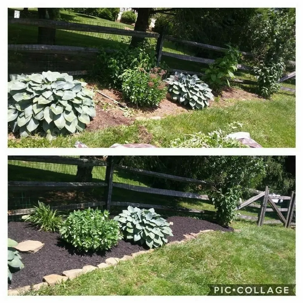 Top-rated landscaping services for year-round maintenance across Avondale, PA - Superior Lawn & Landscape