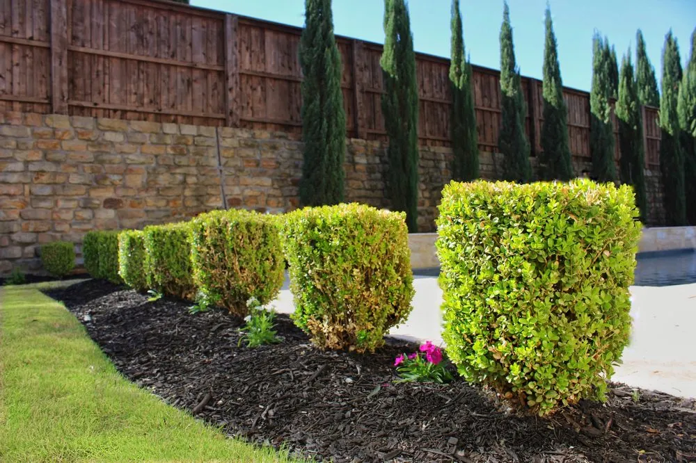 Reliable residential landscaping experts serving Frisco, TX - Superior Lawn & Landscaping
