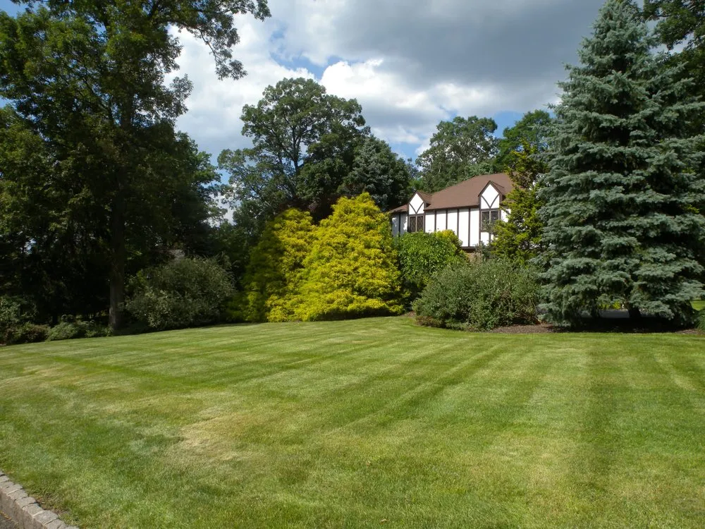 Reliable landscape installation experts serving Hot Springs, AR - Superior Lawn & Landscaping