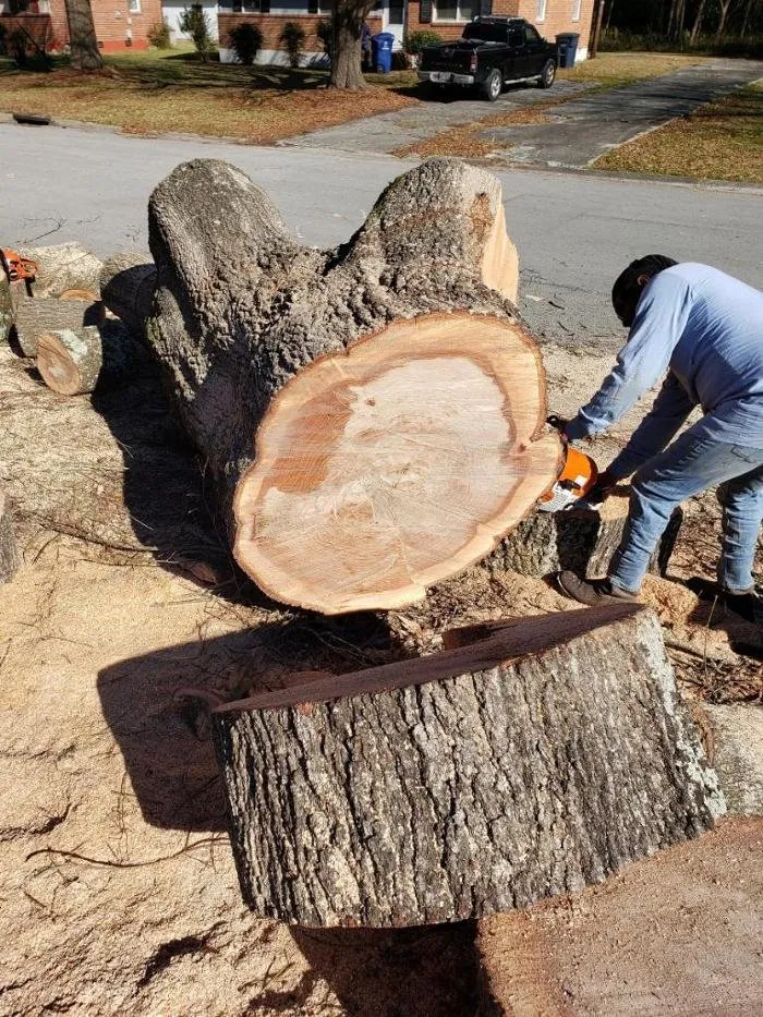 Expert garden landscaping in Jacksonville, NC by Superior Lawn & Tree Service