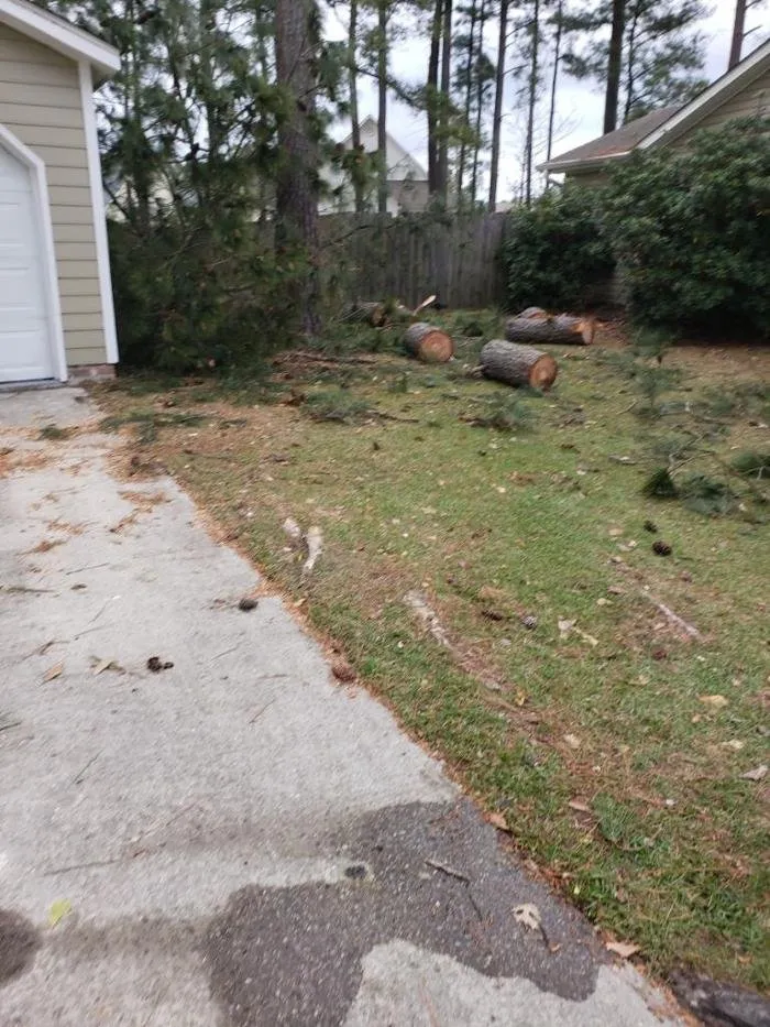 Expert lawn care service in Jacksonville, NC - Superior Lawn & Tree Service