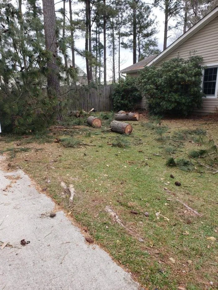 Reliable outdoor landscaping in Jacksonville, NC - Superior Lawn & Tree Service