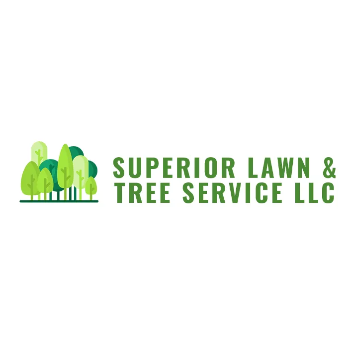 Top-rated yard cleanup service in Jacksonville, NC - Superior Lawn & Tree Service