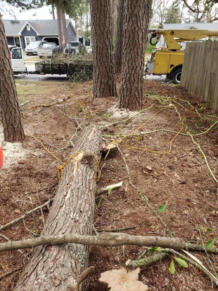 Professional garden landscaping in Jacksonville, NC by Superior Lawn & Tree Service