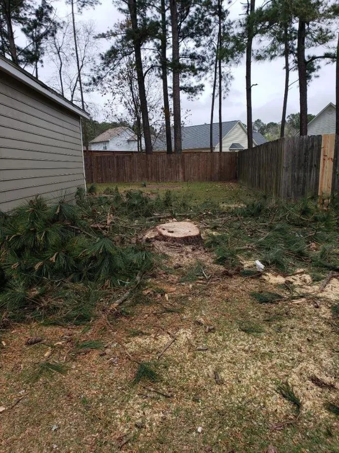 Top-rated landscaping services for homes in Jacksonville, NC by Superior Lawn & Tree Service