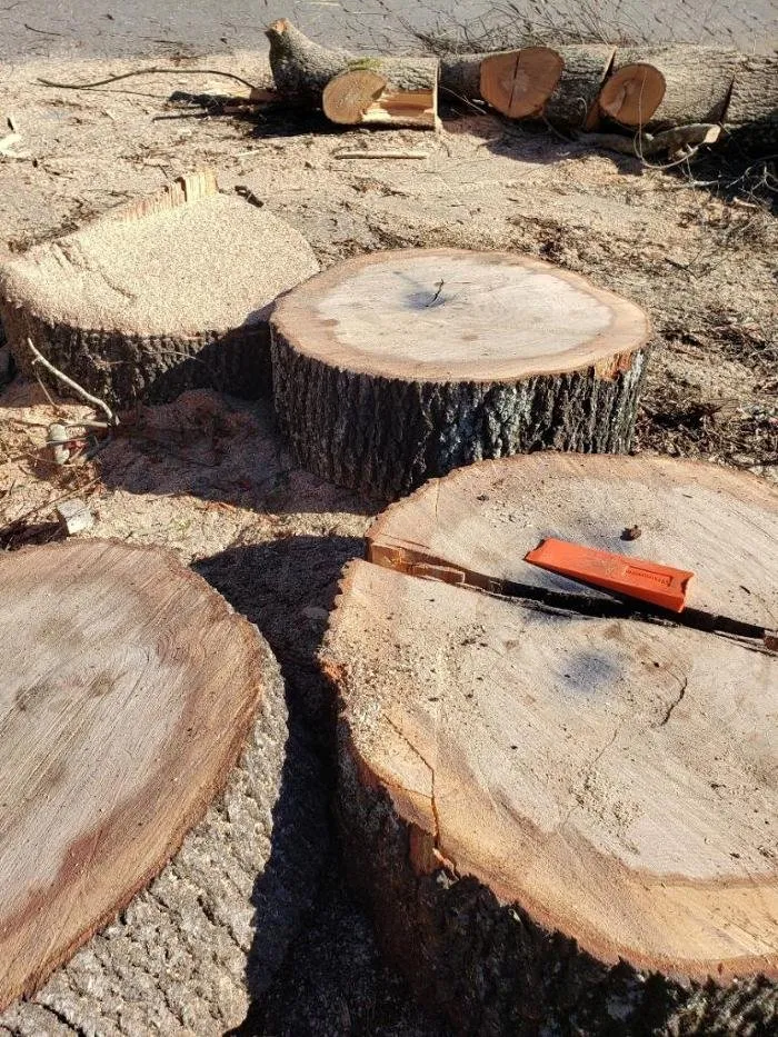 Reliable residential landscaping in Jacksonville, NC by Superior Lawn & Tree Service