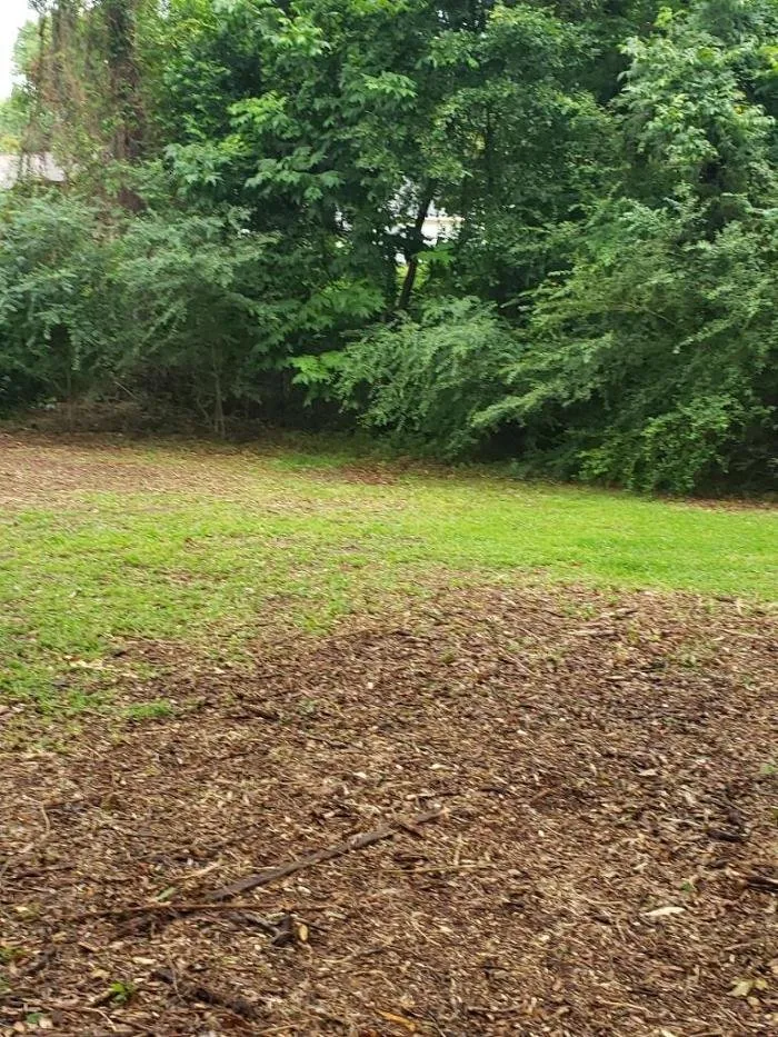 Trusted landscaping services in Jacksonville, NC - Superior Lawn & Tree Service