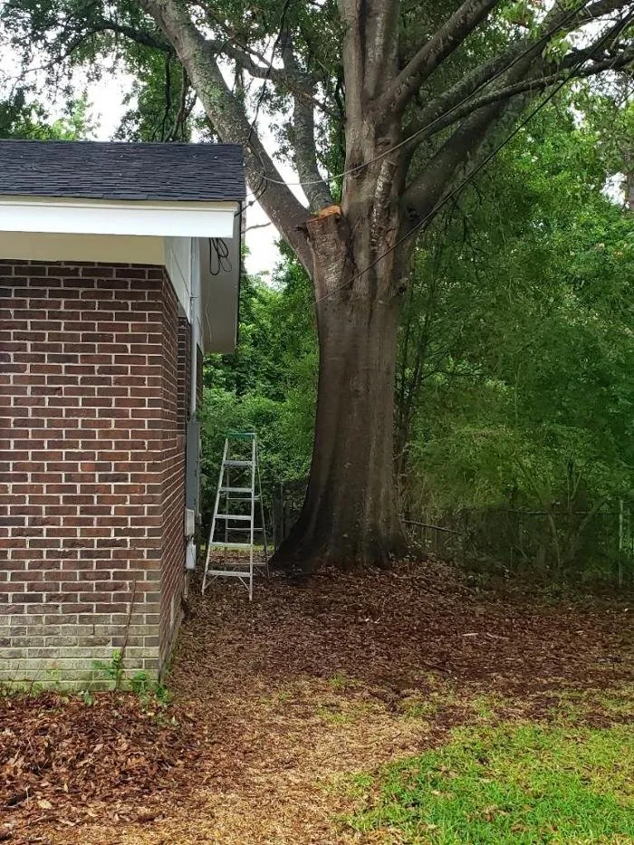Affordable landscaping services in Jacksonville, NC - Superior Lawn & Tree Service