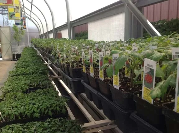 Professional landscaping services for homes in Kohler, WI by Superior Lawn And Garden Center