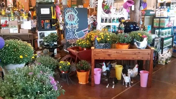 Top-rated landscape design in Kohler, WI by Superior Lawn And Garden Center