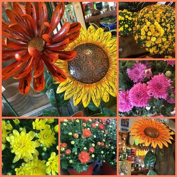 Professional lawn care service in Kohler, WI by Superior Lawn And Garden Center