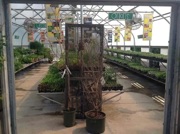 Top-rated landscaping services with custom design in Kohler, WI by Superior Lawn And Garden Center