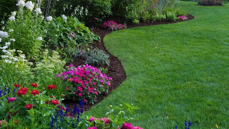 Affordable yard cleanup service in Lexington, KY - Superior Lawn and Landscape