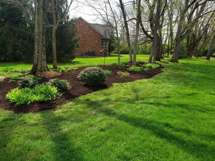 Reliable yard cleanup service in Lexington, KY - Superior Lawn and Landscape