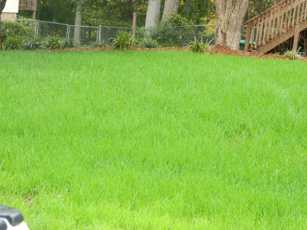Expert residential landscaping near you across Winston-Salem, NC - Superior Lawn and Landscaping