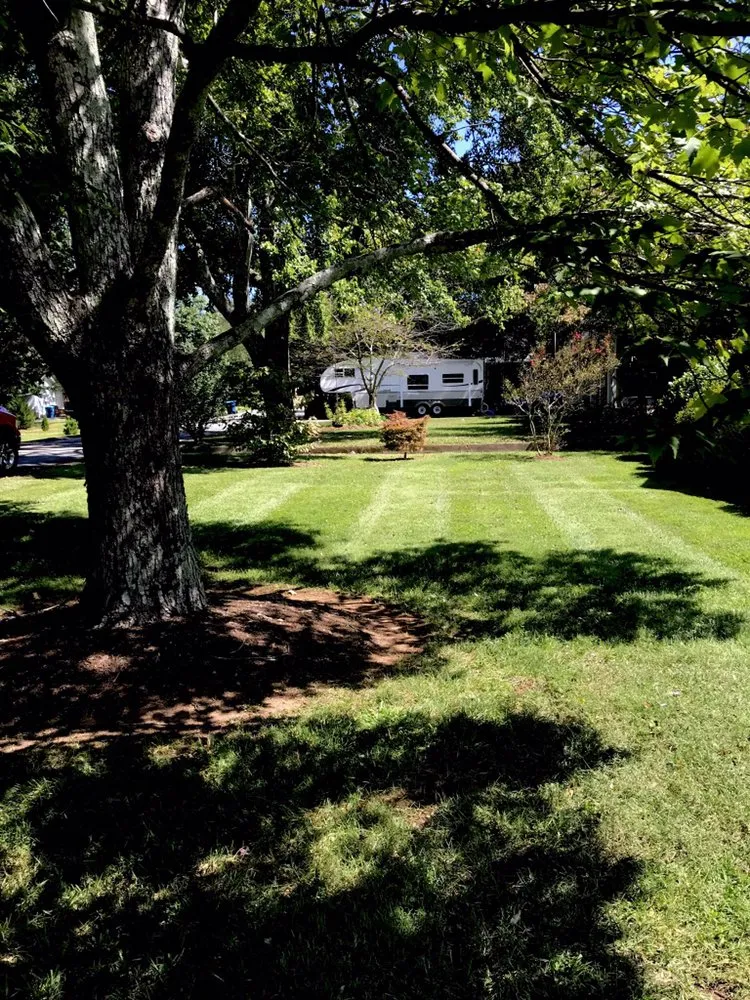 Expert yard maintenance experts serving Columbus, NC - Superior Lawn Care & Maintenance