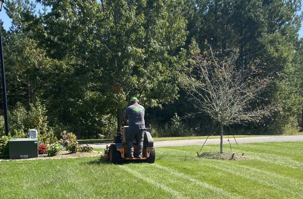 Professional outdoor landscaping experts serving Columbus, NC - Superior Lawn Care & Maintenance
