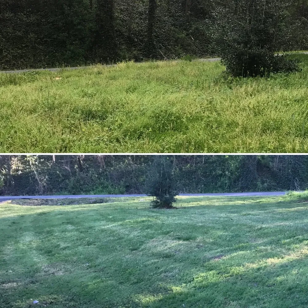 Professional landscape design for beautiful yards in Columbus, NC by Superior Lawn Care & Maintenance