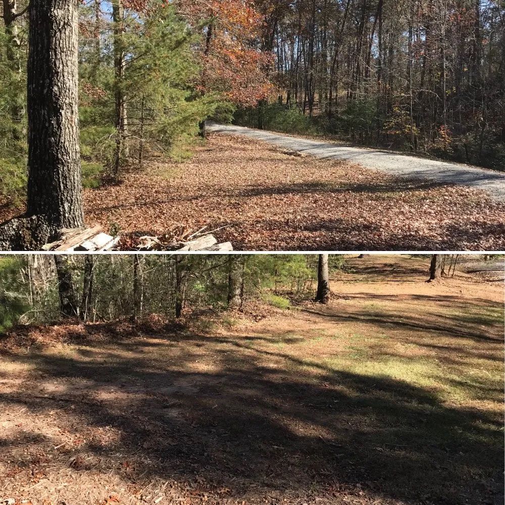 Trusted yard maintenance for year-round maintenance across Columbus, NC - Superior Lawn Care & Maintenance