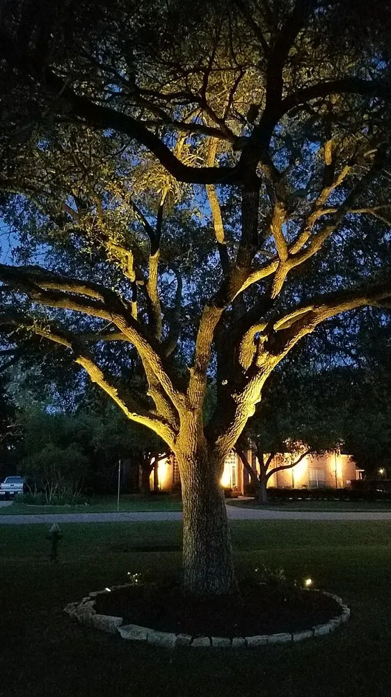 Expert yard maintenance for beautiful yards in Katy, TX by Superior Lawn Care and Landscaping