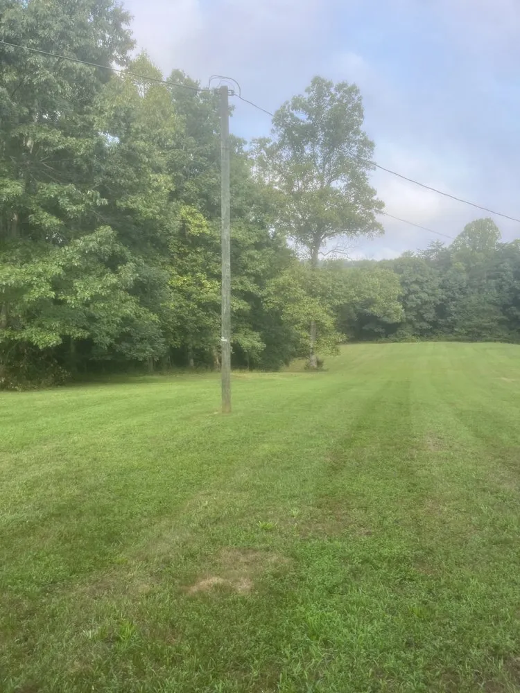 Expert yard maintenance in Bassett, VA - Superior Lawn Care