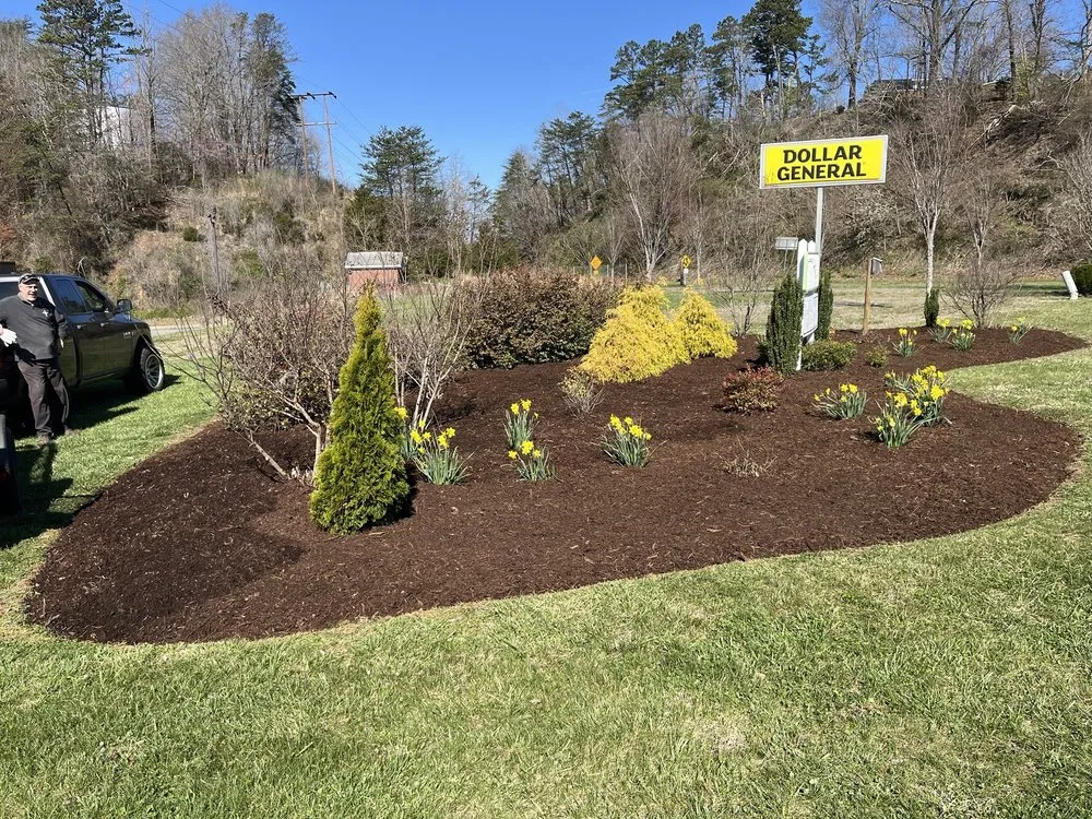 Expert yard cleanup service in Bassett, VA - Superior Lawn Care
