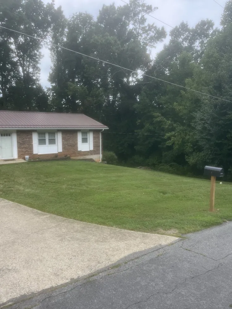 Expert yard cleanup service in Bassett, VA by Superior Lawn Care